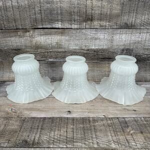 Vintage Frosted Glass Ruffled Tulip Lamp Shades Ceiling Fans Various Light